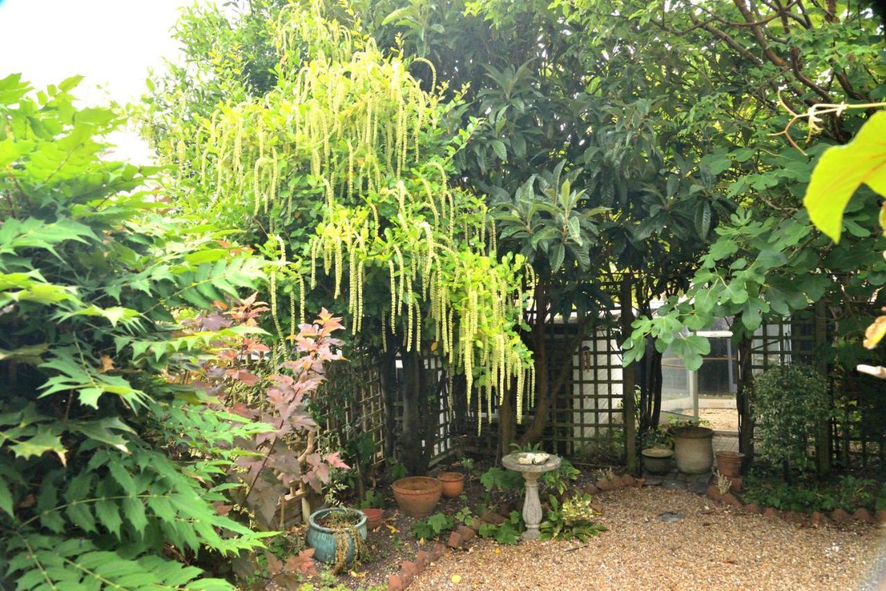 Cosy House, A Train Spotter'S Delight! New Alresford Exterior foto